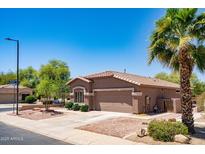 Warm exterior with a well-maintained lawn, complemented by mature trees and a spacious driveway at 4976 S Sugarberry Ln, Gilbert, AZ 85298