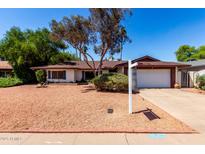 Charming single-story home featuring a well-maintained front yard with mature trees and a two-car garage at 8238 E Jackrabbit Rd, Scottsdale, AZ 85250