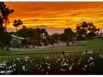Picturesque view of a lush community landscape with palm trees silhouetted against a vibrant sunset sky at 3394 N 147Th Ln, Goodyear, AZ 85395