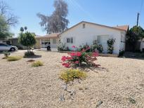 Charming single-story home featuring vibrant desert landscaping and a covered carport at 2115 W Myrtle Ave, Phoenix, AZ 85021