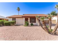 Charming single-story home with a well-maintained, low maintenance desert-style front yard and mature palm trees at 815 W El Prado Rd, Chandler, AZ 85225