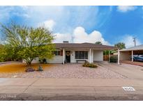 Charming single-story home featuring a covered porch, landscaped front yard, and beautiful flowering tree at 8143 E Whitton Ave, Scottsdale, AZ 85251