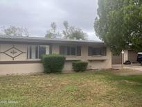 Charming single-story home with a brick facade, well-placed shrubbery, and a tidy front lawn at 10012 W Lakeview Cir, Sun City, AZ 85351