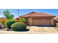 Charming single-story home with a well-manicured front yard and a two-car garage at 18166 W Camino Real Dr, Surprise, AZ 85374