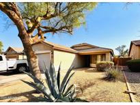 Charming single-story home featuring a well-maintained front yard with mature landscaping and a cozy entrance at 30100 N Sunray Dr, San Tan Valley, AZ 85143