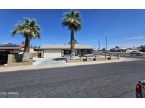 Charming single-story home featuring mature palm trees and a well-maintained front yard at 13801 N 37Th Dr, Phoenix, AZ 85053
