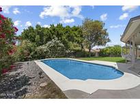 Backyard swimming pool features a concrete surround and lush landscaping at 16202 N 61St Ave, Glendale, AZ 85306