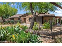 Charming front yard with desert landscaping, including mature cacti and vibrant yellow flowers at 1720 W Elm St, Phoenix, AZ 85015