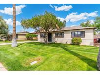 Charming single-story home featuring a well-manicured lawn and mature tree shading the front at 7520 E Diamond St, Scottsdale, AZ 85257
