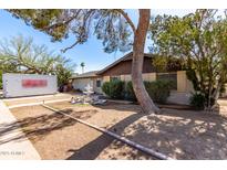 Charming single-story home with a decorative fountain and mature trees in the front yard at 2114 N 69Th Pl, Scottsdale, AZ 85257