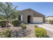 Charming home featuring a desert landscape with mature tree and shrubs at 7261 E Teal Way, San Tan Valley, AZ 85143