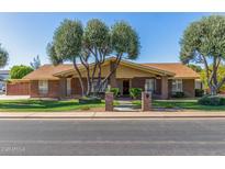 Inviting single-story brick home with mature trees, manicured lawn, and charming walkway at 1704 E Hackamore St, Mesa, AZ 85203