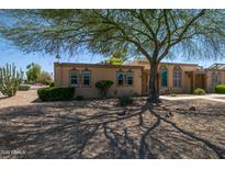 Charming home exterior featuring desert landscaping and mature shade tree at 11141 W Cameo Dr, Sun City, AZ 85351