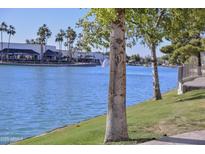 Scenic view of the community lake with palm trees and a building in the background, showcasing the neighborhood's amenities at 1825 W Ray Rd # 1134, Chandler, AZ 85224