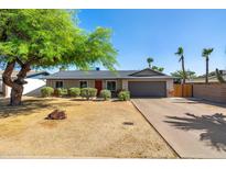 Charming single-story home featuring a well-manicured lawn, mature tree, and a welcoming red front door at 9051 E Grandview Dr, Mesa, AZ 85207