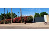 Well-maintained front yard with mature landscaping and privacy gate at 2068 E Cairo Dr, Tempe, AZ 85282