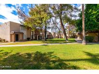 Charming townhomes with lush green lawn and mature trees create a serene and inviting community atmosphere at 7126 N 19Th Ave # 224, Phoenix, AZ 85021