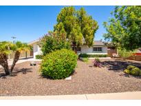 Landscaped front yard with colorful plants, a turtle statue and mature trees for added curb appeal at 8310 E Glenrosa Ave, Scottsdale, AZ 85251