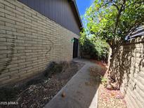 View of the side yard, with fruit tree, block wall, and walkway to side entrance at 2515 S Maple Ave # 103, Tempe, AZ 85282