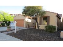 Charming single-story home featuring a well-manicured yard, inviting curb appeal, and a for sale sign at 29462 N 126Th Ln, Peoria, AZ 85383