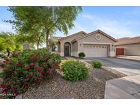 Charming single-story home with neutral stucco, an arched entrance, and a well-maintained desert landscaped front yard at 4466 S Brice --, Mesa, AZ 85212
