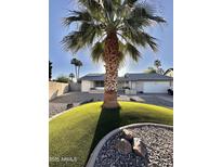 Charming home featuring a lush green landscaped yard with a beautiful palm tree at 4838 W Christine Cir, Glendale, AZ 85308