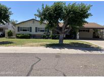 Charming single-story home with well-maintained lawn and mature tree offering shade at 6637 E Culver St, Scottsdale, AZ 85257