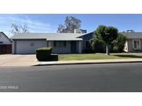 Charming single-story home with well-maintained lawn and mature trees in a quiet neighborhood at 635 W Flower Ave, Mesa, AZ 85210