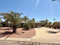 Charming single-story home with desert landscaping, mature palms, and long driveway at 735 E Desert Ave, Apache Junction, AZ 85119