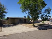 Charming single-story home with a covered carport and a well-maintained front yard at 3171 W Orchid Ln, Phoenix, AZ 85051