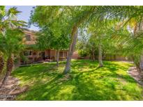 Expansive backyard featuring mature trees and lush green grass, perfect for outdoor activities and relaxation at 3274 E Denim Trl, San Tan Valley, AZ 85143