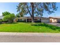 Charming single-story home with a large tree in front and well-maintained lawn at 709 E Hayward Ave, Phoenix, AZ 85020