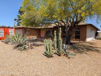 Front yard featuring native cacti and desert plants surrounding a brick home at 2934 W Northview Ave, Phoenix, AZ 85051
