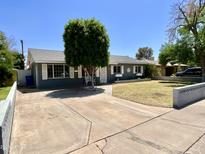 Charming single-story home with a well-maintained lawn and a tree in the front yard at 2537 E Hazelwood St, Phoenix, AZ 85016