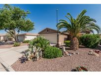 Landscaped front yard showcasing desert plants and a palm tree, adding curb appeal to this charming home at 3755 E Hazeltine Way, Chandler, AZ 85249
