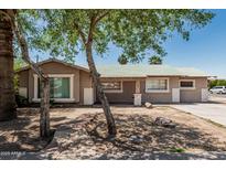 Charming single-story home with a mature tree and well-maintained front yard on a sunny day at 6334 N 37Th Ave, Phoenix, AZ 85019
