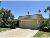 Charming single-story home with a spacious driveway, manicured landscaping, and beautiful palm trees at 10647 W Campana Dr, Sun City, AZ 85351