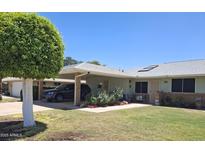 Charming single-story home featuring a covered carport and a well-maintained front yard with a beautiful, rounded tree at 10721 W Mission Ln, Sun City, AZ 85351
