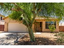 Charming single-story home with desert landscaping and a well-maintained front yard and a large shady tree at 8541 W Malapai Dr, Peoria, AZ 85345