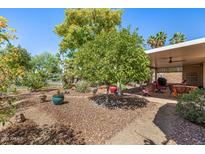 Enjoy an outdoor living space with a covered patio and beautifully landscaped backyard area at 14819 W Lupine Ln, Surprise, AZ 85374