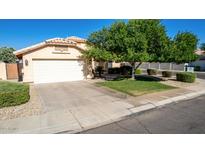 Charming home featuring a two-car garage, well-maintained lawn, mature trees, and inviting curb appeal at 2615 N 123Rd Dr, Avondale, AZ 85392