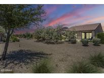 Expansive backyard featuring desert landscaping, flowering trees, and a covered patio with sliding glass doors at 841 E Farmers Ln, Queen Creek, AZ 85140