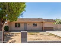 Single story home with a security door and tan colored paint surrounded by a tree and green grass at 649 S Temple St, Mesa, AZ 85204