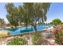 Relaxing backyard view of a shimmering lake, mature trees, and well-maintained landscaping at 19822 N 108Th Ave, Peoria, AZ 85373