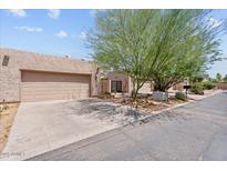 Tan home exterior with a two car garage, desert landscaping, and large shade tree at 2313 S Grandview Ave, Tempe, AZ 85282
