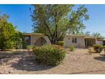 Charming single-story home featuring a desert landscaped front yard with lush, mature trees and vibrant flowering bushes at 1541 E Cinnabar Ave, Phoenix, AZ 85020