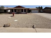 Charming single-story home with low-maintenance landscaping and a welcoming entrance at 1557 W Posada Ave, Mesa, AZ 85202