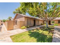 Charming single-story home featuring a secure fenced patio and mature shade tree at 31 W Loma Vista Dr # 102, Tempe, AZ 85282