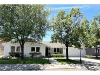 Charming single-story home with a well-manicured lawn, mature trees, and a welcoming front entrance at 3811 E Evans Dr, Phoenix, AZ 85032