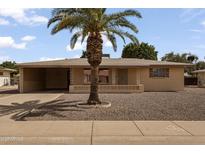 Charming single-story home with a desert-style yard and a mature palm tree in the front at 6217 E Dodge St, Mesa, AZ 85205